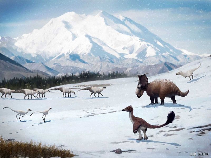 Tectonic Activity Created Mountain Ranges