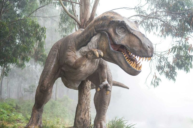 Researchers Propose A Bering Strait Route For T. Rex's Ancestors