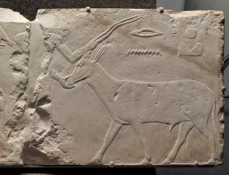 Ancient Egyptian Connections