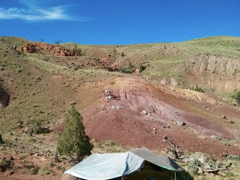 How The Oldest Dinosaur Fossil In North America Was Found
