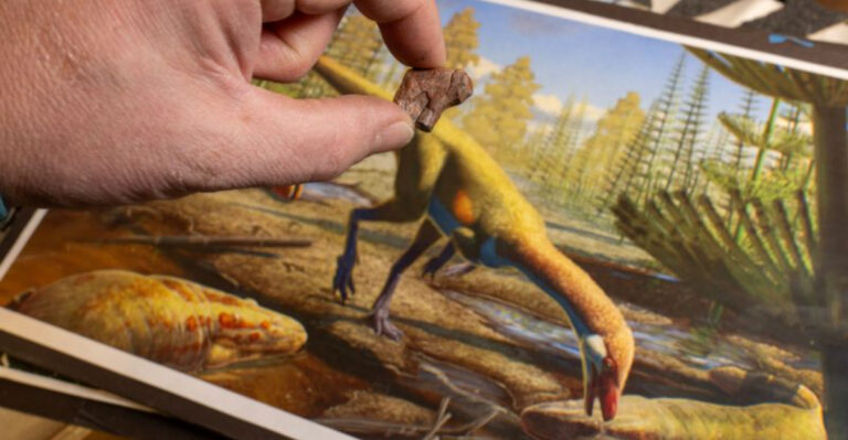 North America’s Oldest Dinosaur Fossil Uncovered, Dating Back 230 Million Years