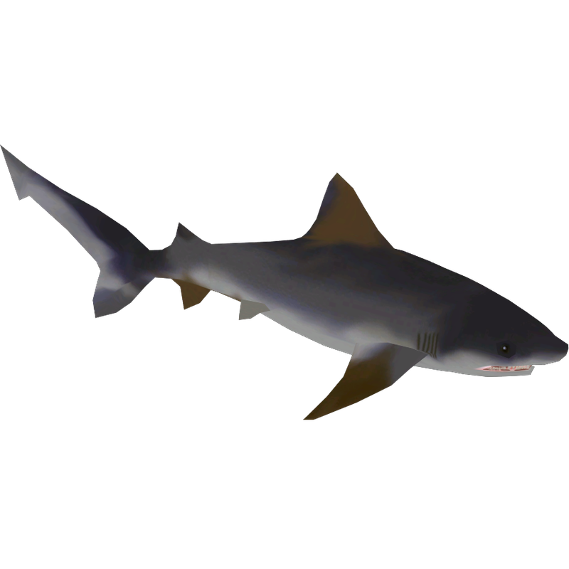 Borneo River Shark: Rainforest Phantom
