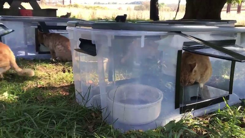 Offering Inappropriate Outdoor Food Stations