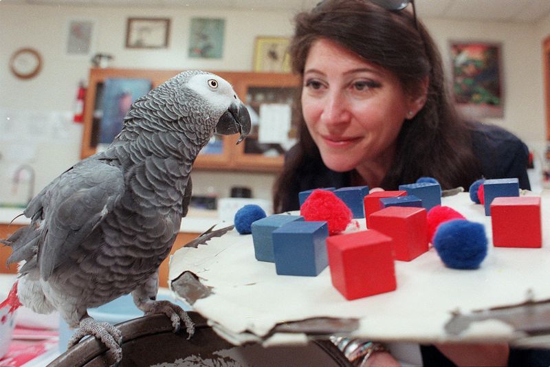 Daily Social Interaction Boosts Vocabulary