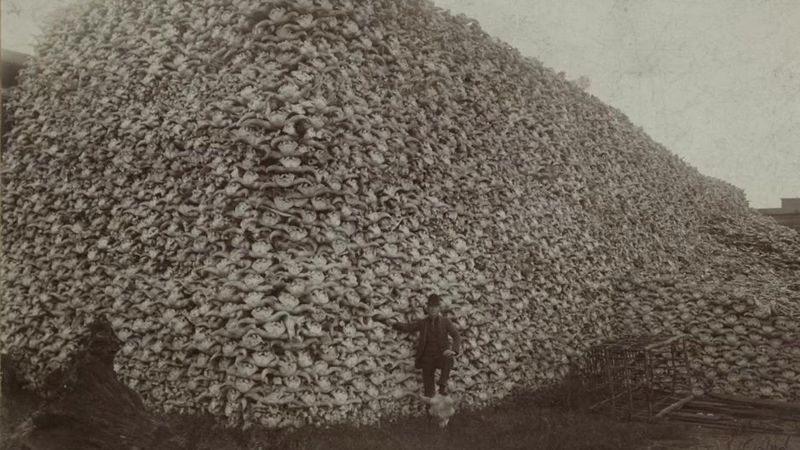 Hunted To The Brink