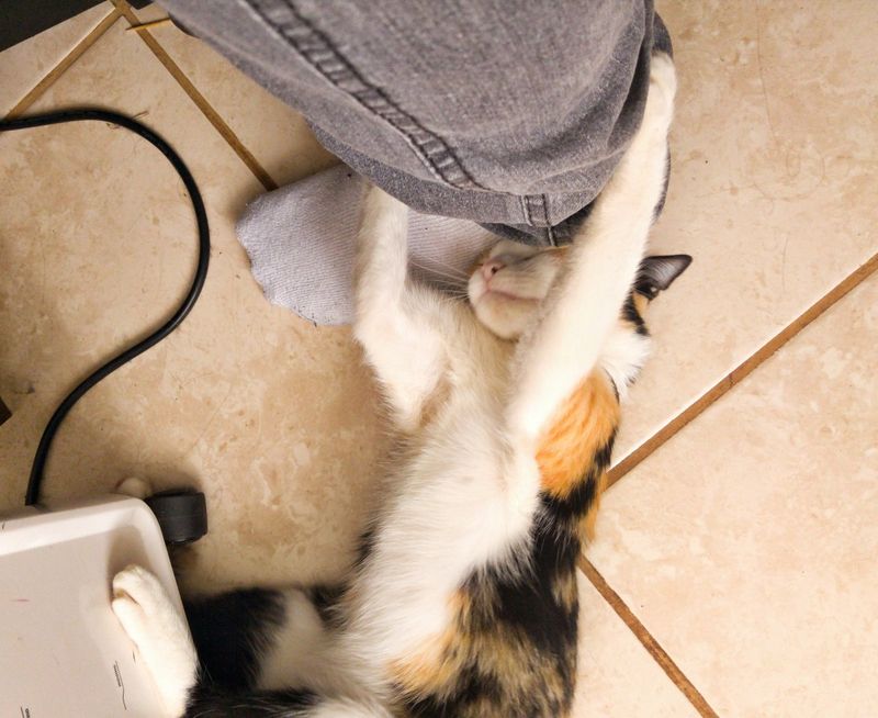Unusual Clinginess Or Independence