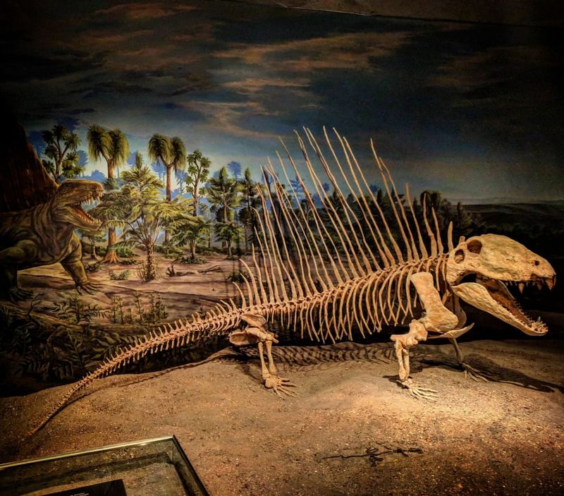 Synapsids Were Once The Top Predators