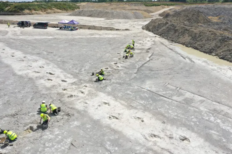 The Discovery Of The UK's Largest Dinosaur Footprint Site