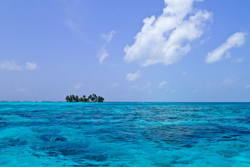 Conservation Efforts Are Underway But Urgently Needed
