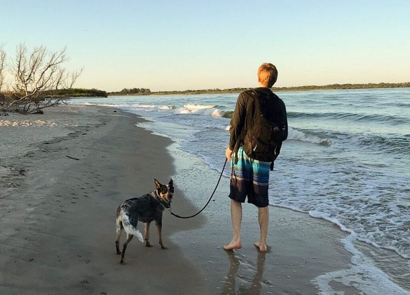 Smyrna Dunes Park's Coastal Wonderland