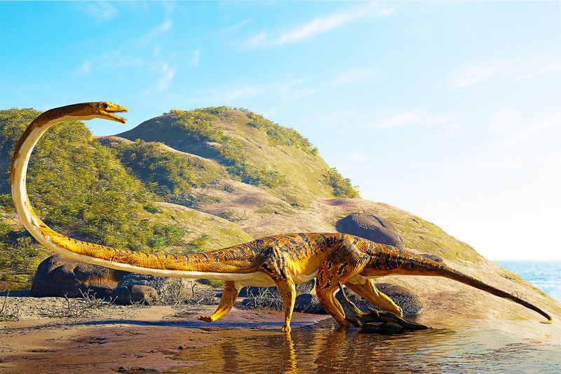 Tanystropheus – The Creature With An Impossible Neck