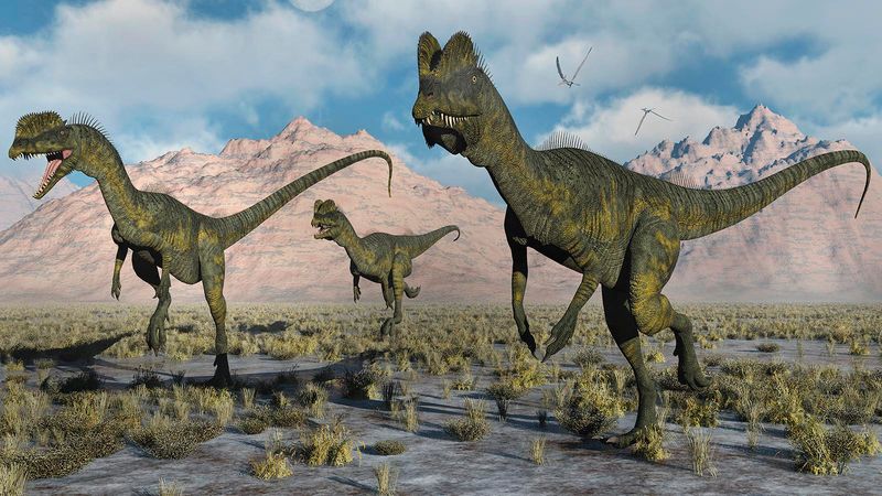 Dilophosaurus: The Double-Crested Hunter