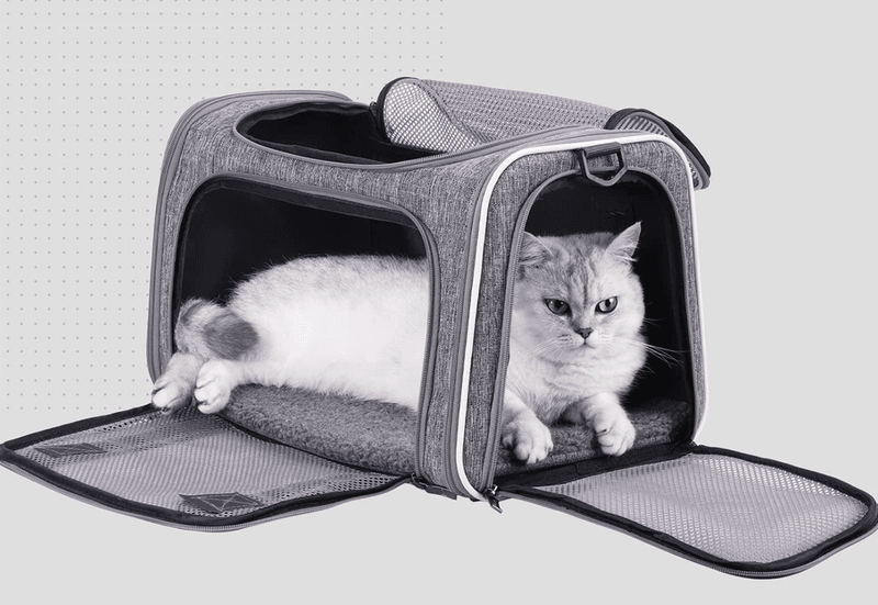 Customize Travel Accommodations