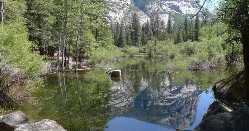 Broader Ecosystem Rejuvenation