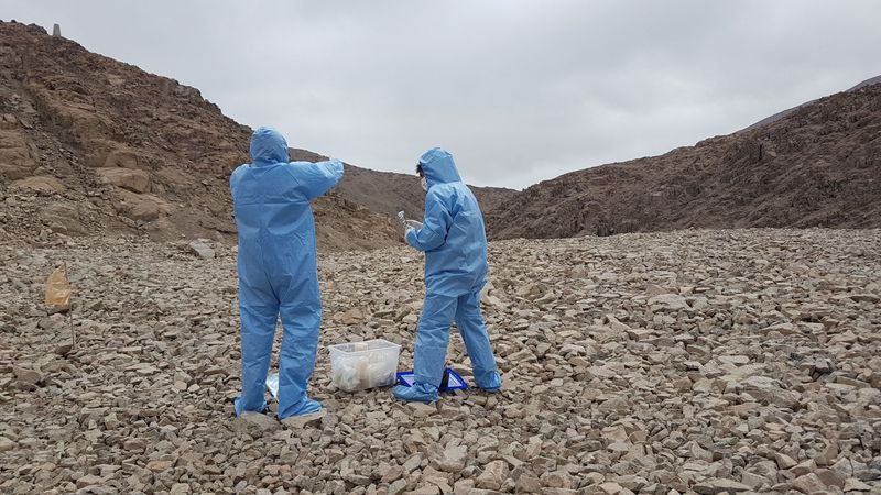Found In Earth's Harshest Desert Environments