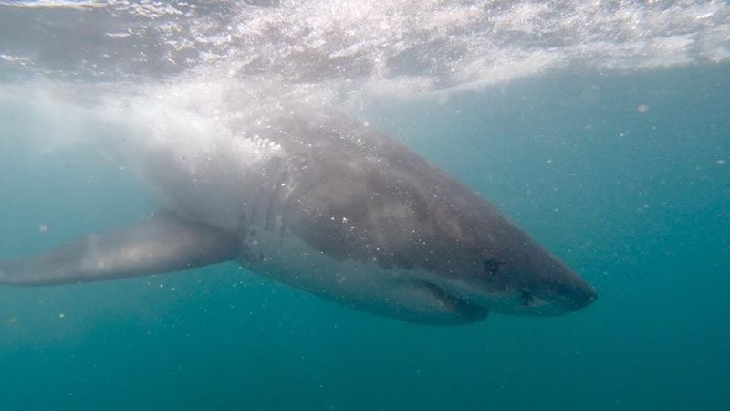 Buoyancy Control