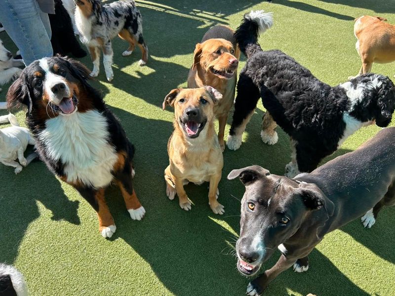 Set Up Regular Playdates
