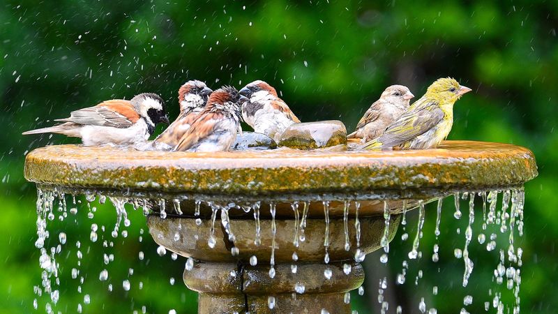 Reduced Water Contamination