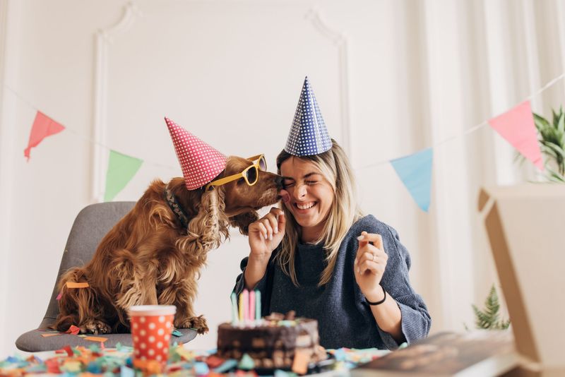 Joy Celebrations