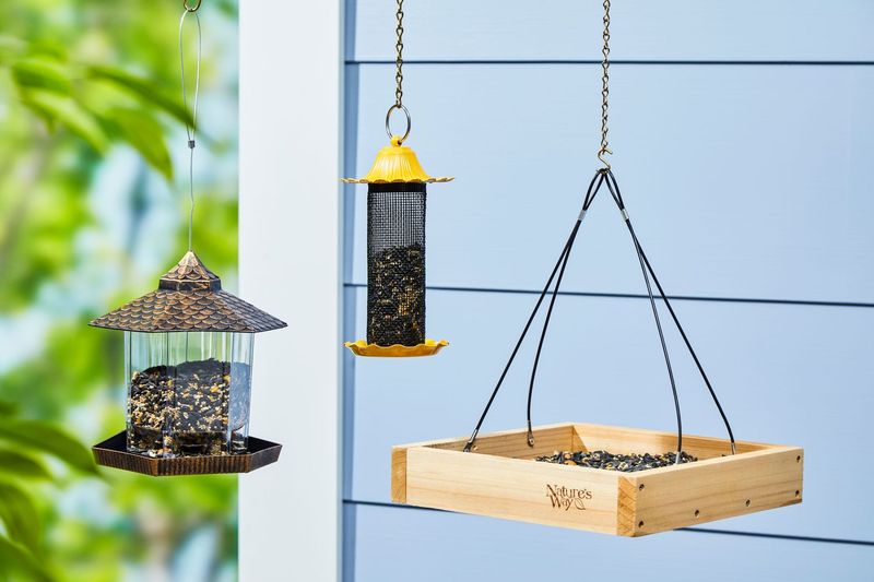 Set Up Quality Bird Feeders