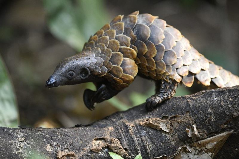 Beyond One Species: The Bigger Picture