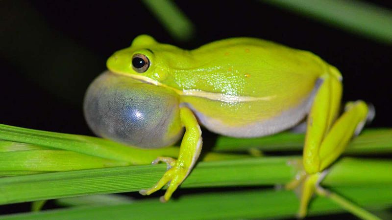 It's All About Standing Out In A Noisy, Competitive Pond