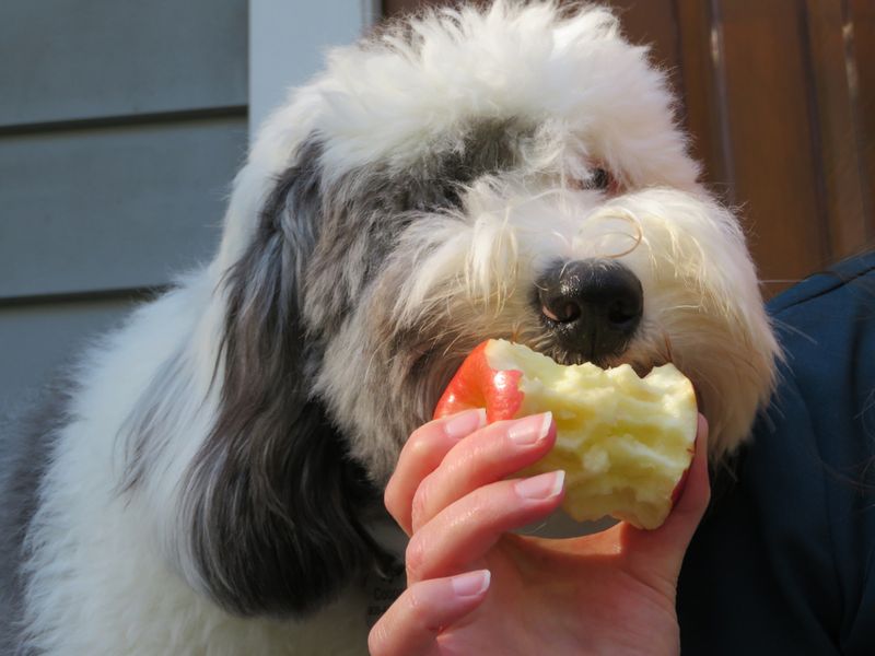 Apple Crunchy Treats