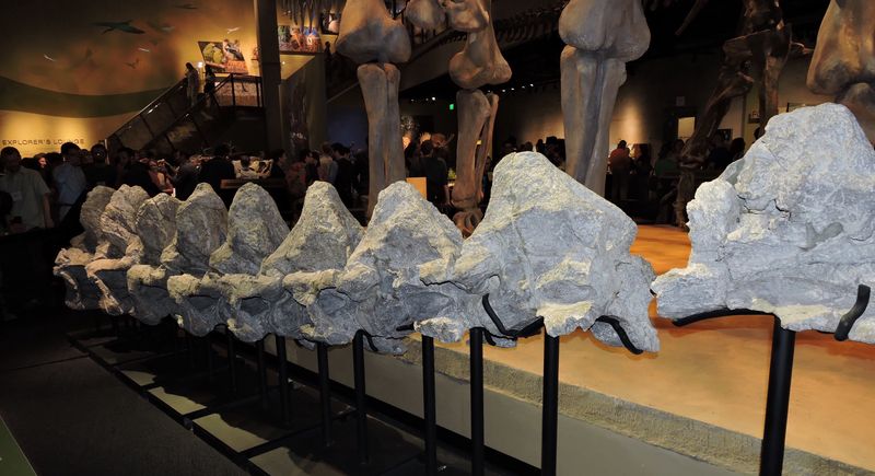 Advanced Scanning Reveals Hidden Details