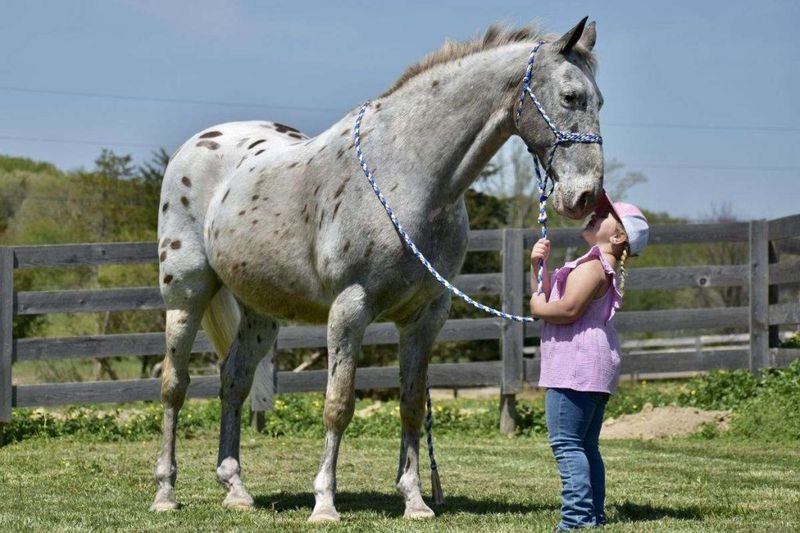 Walkaloosa