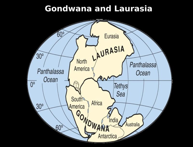 They Lived In South America, Africa, And Europe