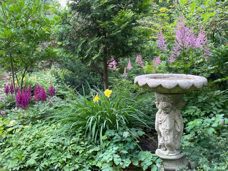 Garden Design Enhancement