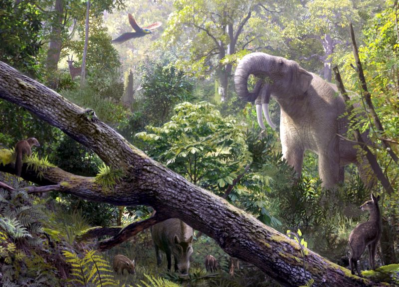Modern Forests Still Echo Their Absence