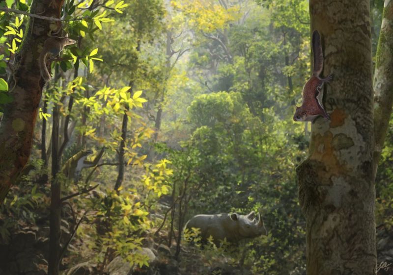 Ancient Forest Ecosystem Revealed