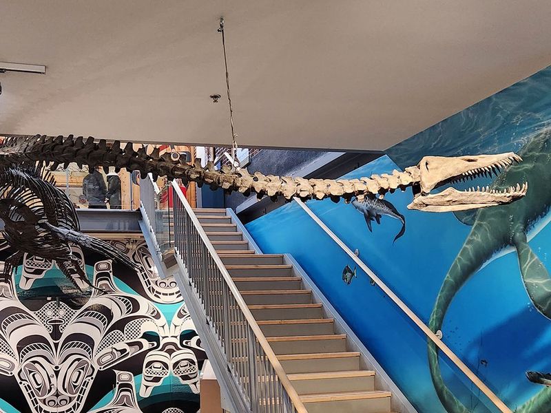 Fills A 40-Year Gap In North America's Marine Reptile Record