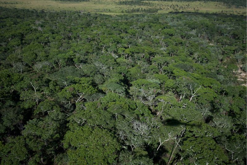 This Discovery Shows How Much Of Nature Is Still Unknown