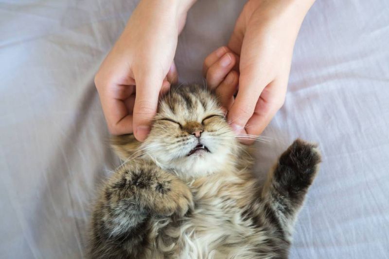 Gentle Massage Sessions