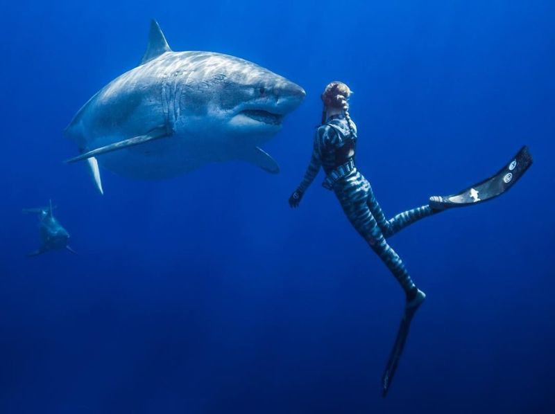 Know How To Respond To An Emergency Bite