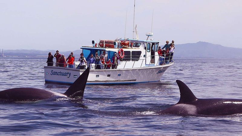 Monterey Bay, California