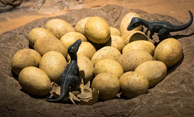 What The Nest Tells Us About Dinosaur Parenting Habits
