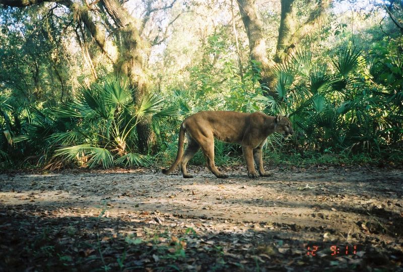 Habitat Lost: What Sprawl Has Stolen From The Wild