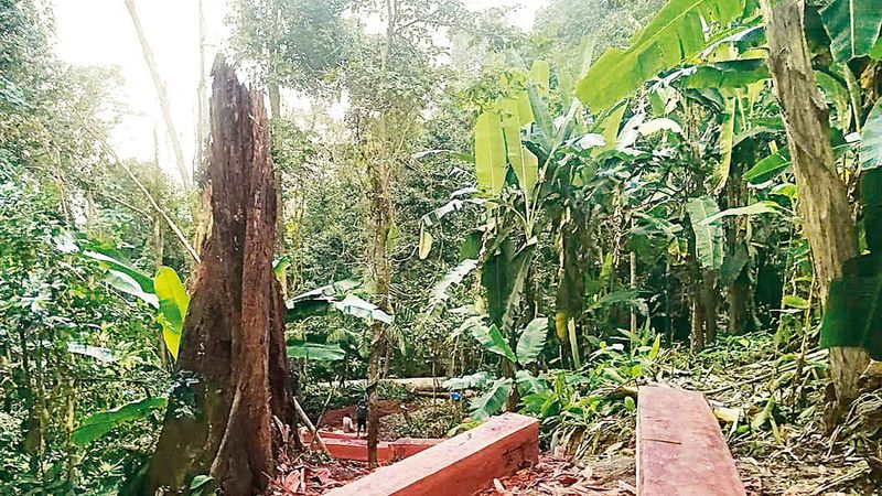 Importance Of The Sangu-Matamuhuri Reserve Forest