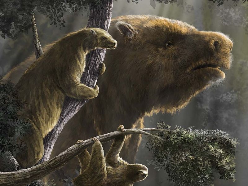 Giant Ground Sloths Spotted In Southwestern Deserts