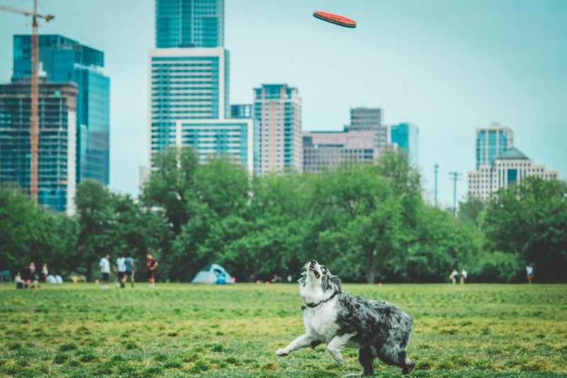 Austin, Texas