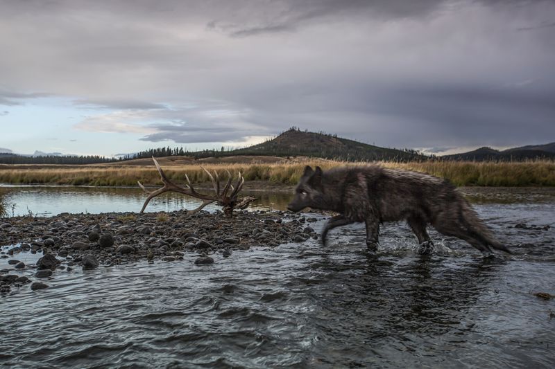 River Channel Reshaping