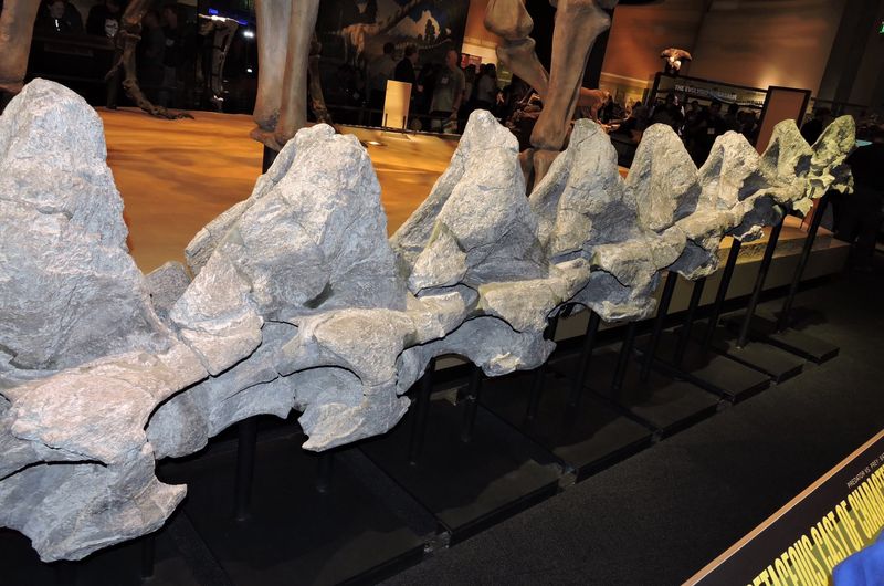 Unexpected Discovery In Texas Terrain