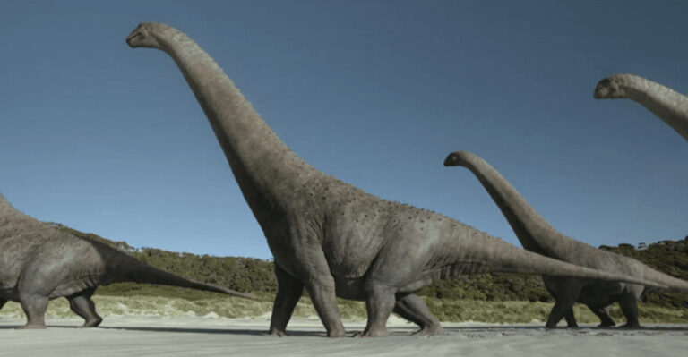 Scientists Discover Fossil Of A Little-Known Giant Dinosaur