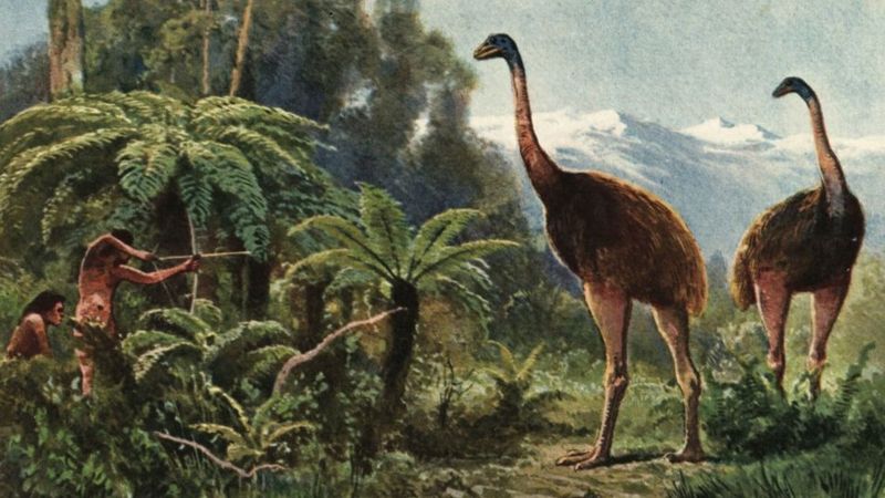 One Of The World's Largest Birds Is No Longer Just A Memory
