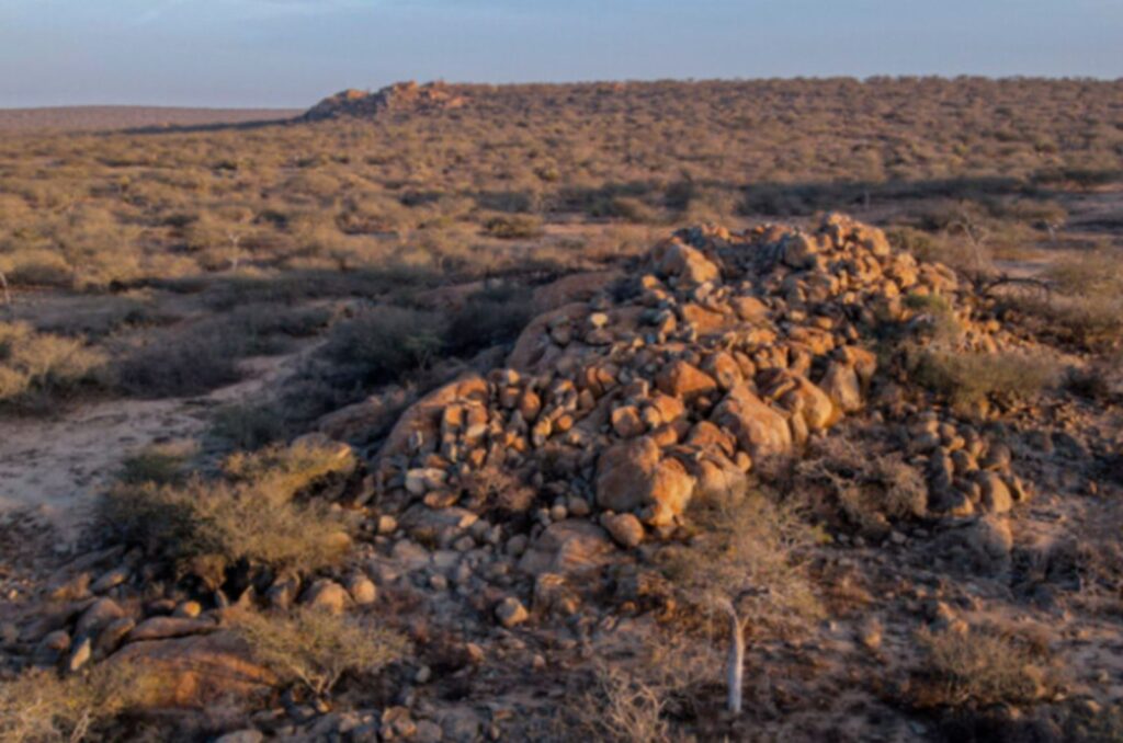 Scientists discovered a new species among rocks in Angola