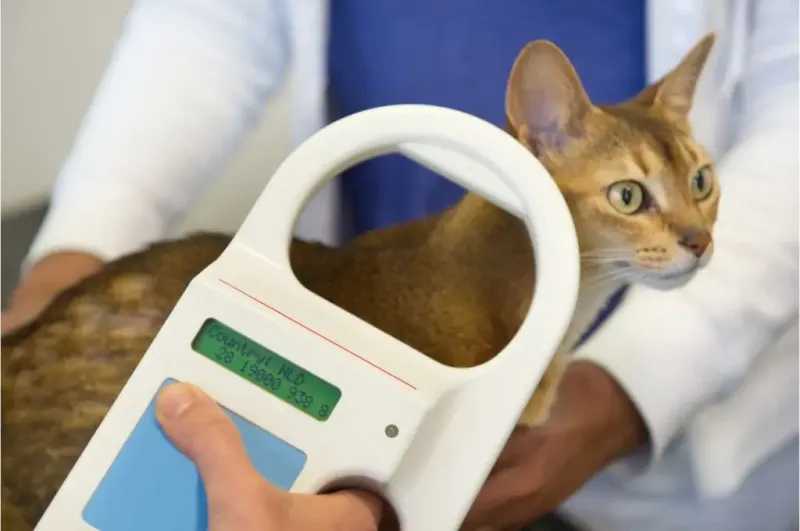 Microchip Verification And Updates