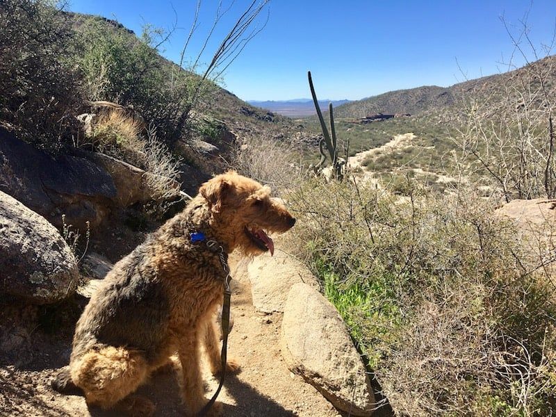 Tucson, Arizona